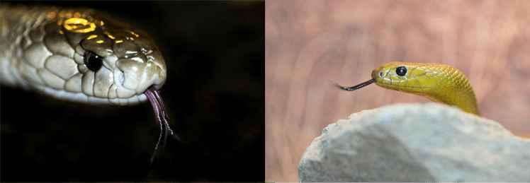 Photos by David Clode on Unsplash